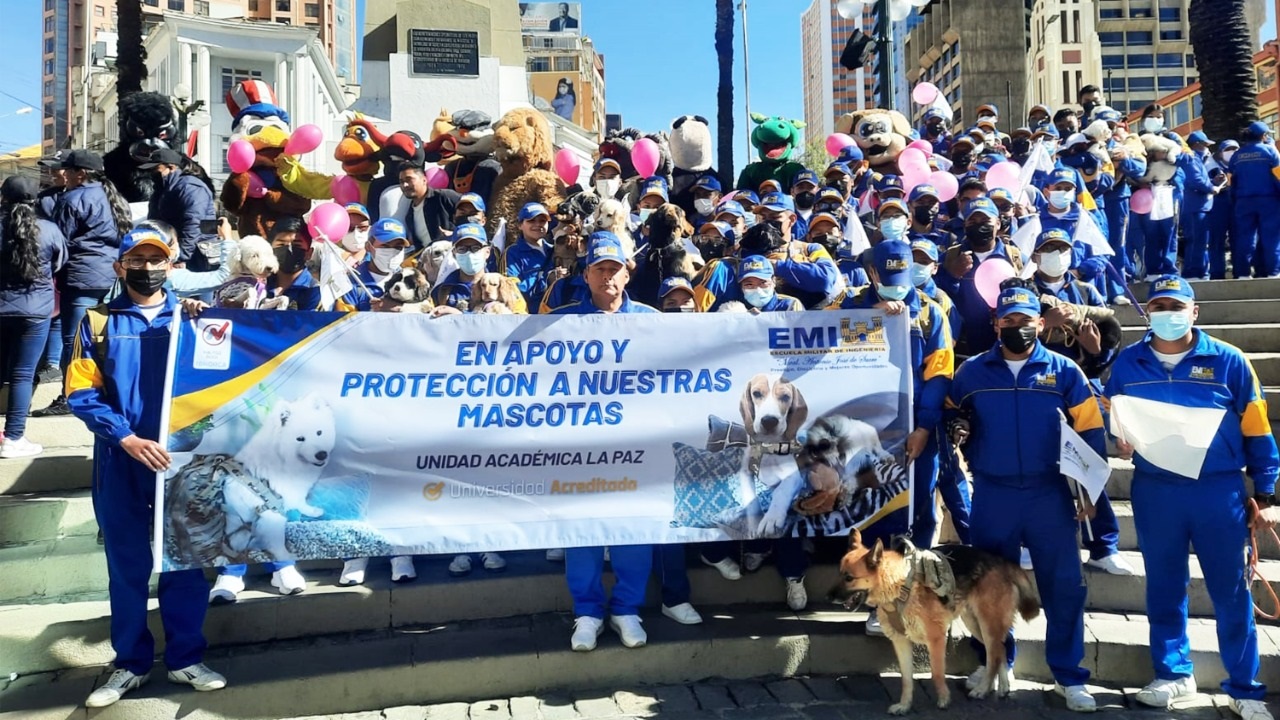 LA EMI PARTICIPA DEL PROYECTO DE LEY DE PROTECCIÓN Y DEFENSA DE LOS ANIMALES